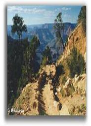 Vereda South Kaibab