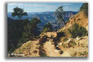Vereda South Kaibab